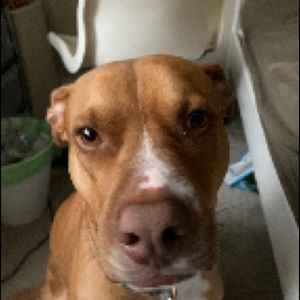 Meet your Posher, Marco